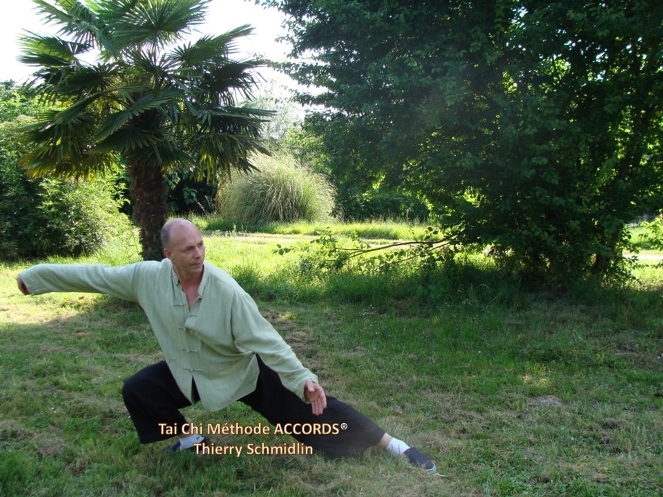 Cours individuels de Tai Chi avec Thierry Schmidlin