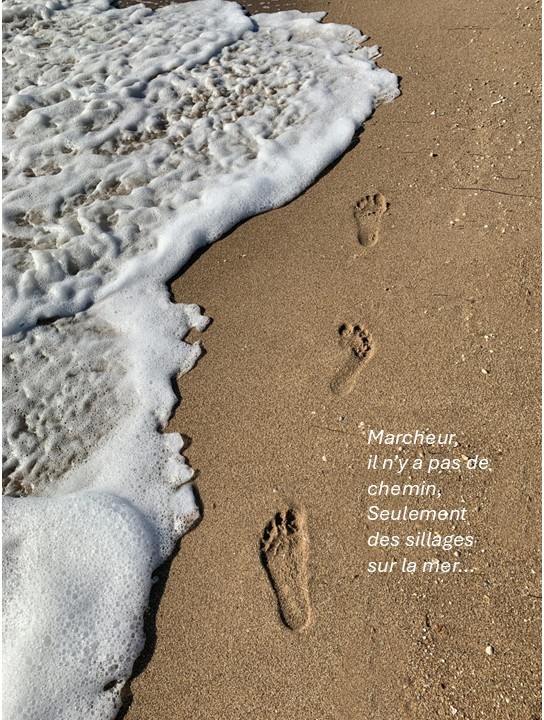 Traces de pas dans le sable : la recherche sensible de Thierry Schmidlin